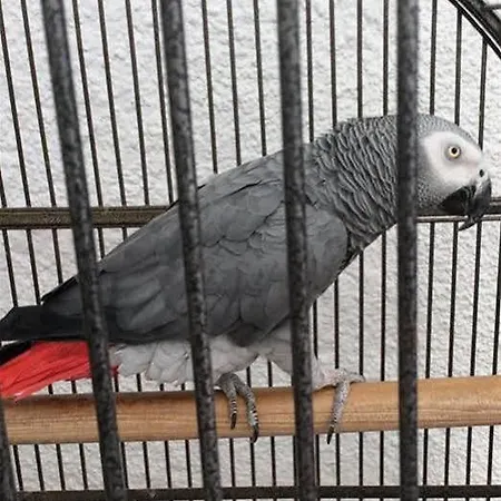 La Riviera * El Albir